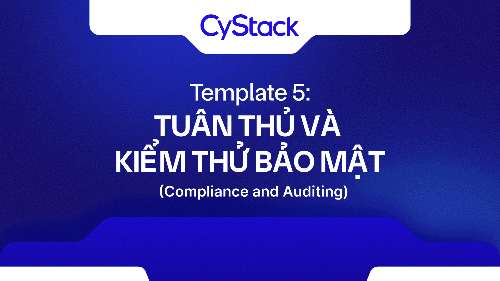 Template 11: Compliance & Auditing