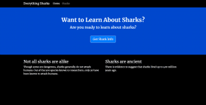CyStack Blog Image