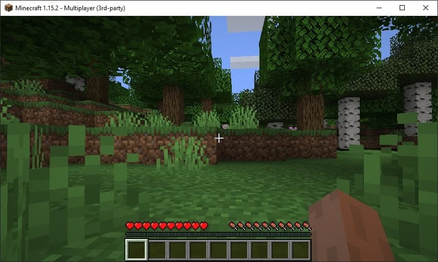 minecraft 6